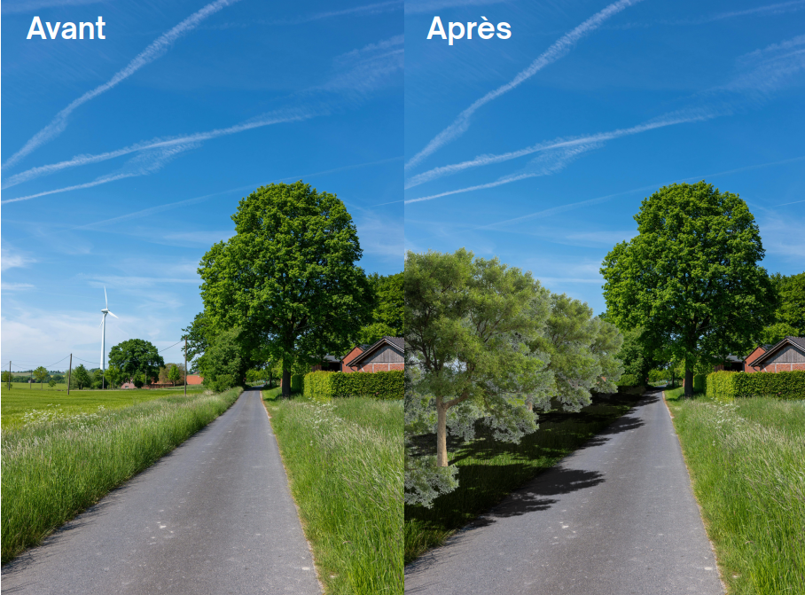 Image du paysage avant et après mesure de compensation
